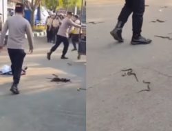 Di Balik Aksi Lempar Ular di Pendopo Bupati Indramayu, Ada Gaya Kepemimpinan Lucky Hakim yang Dikritik Warganya