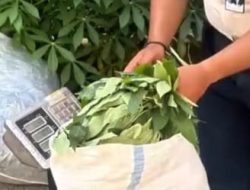 Panen 110 Kg, Gunung Sindur Akselerasi Ketahanan Pangan Warga Binaan