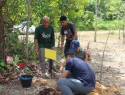 Belantara Foundation Gandeng Mitra Jepang Tanam Pohon Langka di Riau, Perkuat Restorasi Hutan dan Aksi Iklim Global