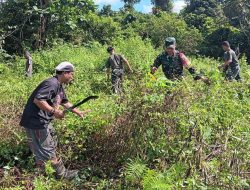 Babinsa Koramil Mapurujaya Bersama Warga Bersihkan TPU Kampung Hiripau