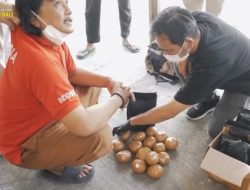 Dua Pelaku Jaringan Ganja Aceh-Bali Berkedok Biji Kopi Terancam Hukuman Mati