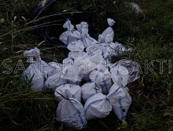 Satlap Tri Cakti dan Satgas Gabungan Berhasil Gagalkan Upaya Penyelundupan 1.040 KG Bijih Timah Ilegal di Pantai Kelambui, Bangka Selatan