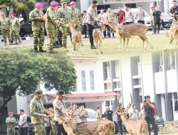 PANGKORMAR, PANGDAM JAYA, DAN KAPOLDA METRO JAYA PERKUAT SINERGI JAGA STABILITAS KEAMANAN IBU KOTA