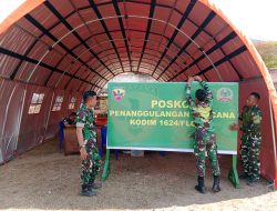 TNI Kerahkan 1.267 Personel Tangani Dampak Gempa di Flores