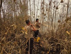 Satbrimob Polda Kalteng Terus Lakukan Pembasahan Karhutla di Banturung