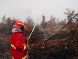 Perkuat Sinergi Penanganan Karhutla, Lanud Sjamsudin Noor Bersama Satgas Gabungan Lakukan Pemadaman di Gambut